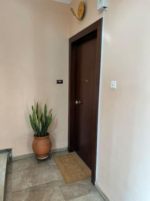 Myrto-Apartments-Ateny Zewnętrze zdjęcie